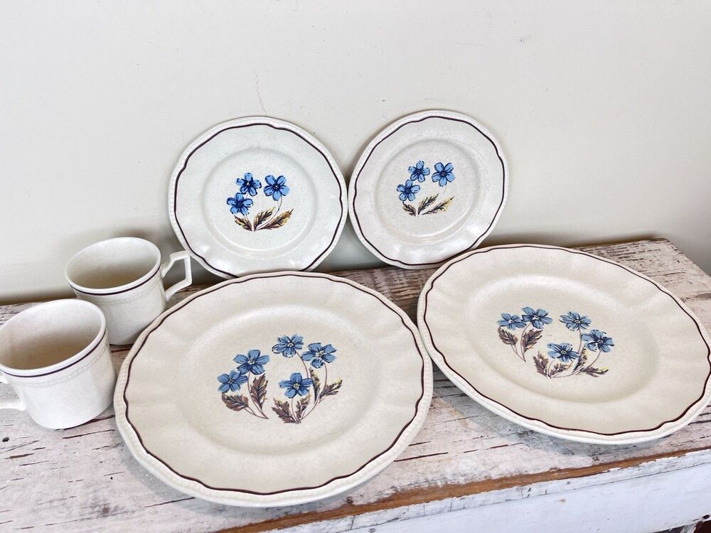 Vintage Kensington Staffordshire Ironstone Dinnerware Set Hyde Park" Pattern